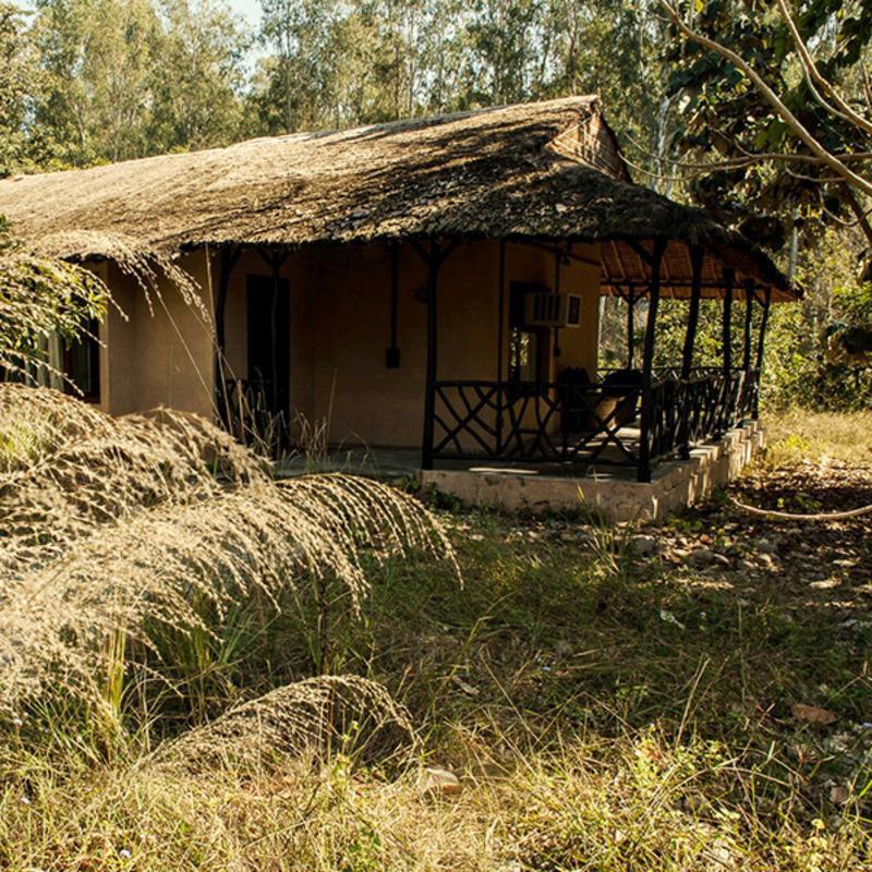 Jim'S Jungle Retreat Hotel Ramnagar  Exterior photo