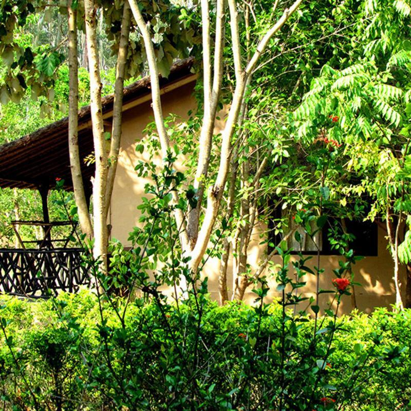 Jim'S Jungle Retreat Hotel Ramnagar  Exterior photo