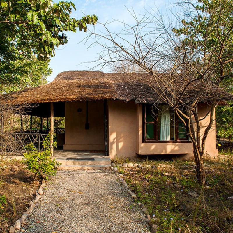 Jim'S Jungle Retreat Hotel Ramnagar  Exterior photo