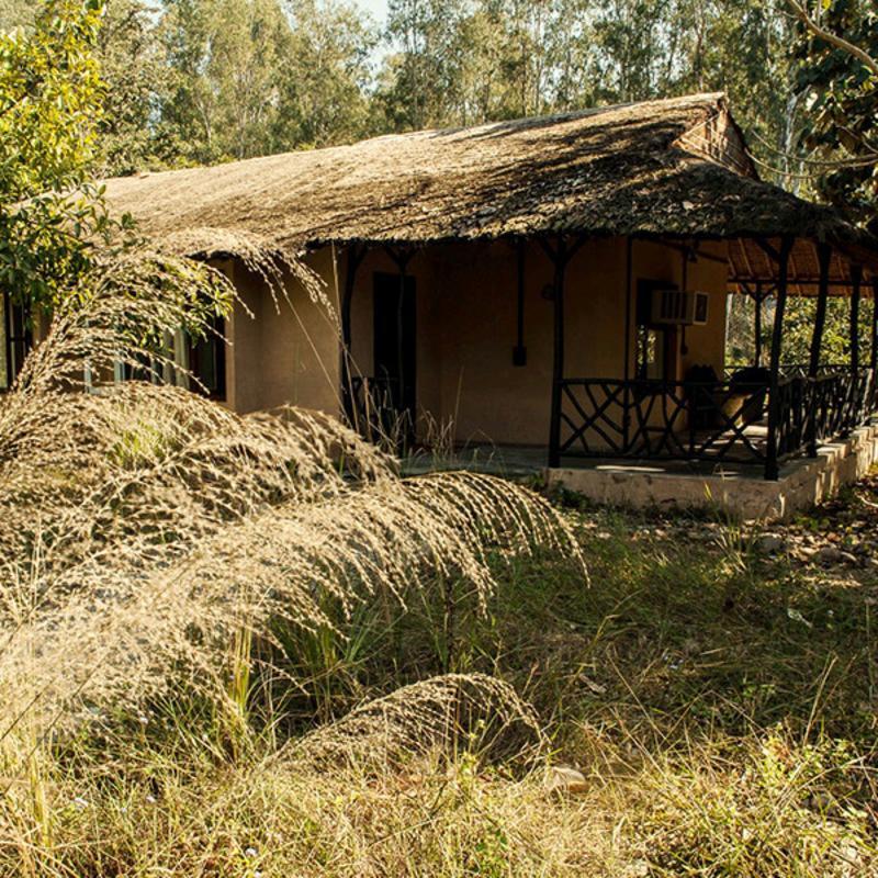 Jim'S Jungle Retreat Hotel Ramnagar  Exterior photo