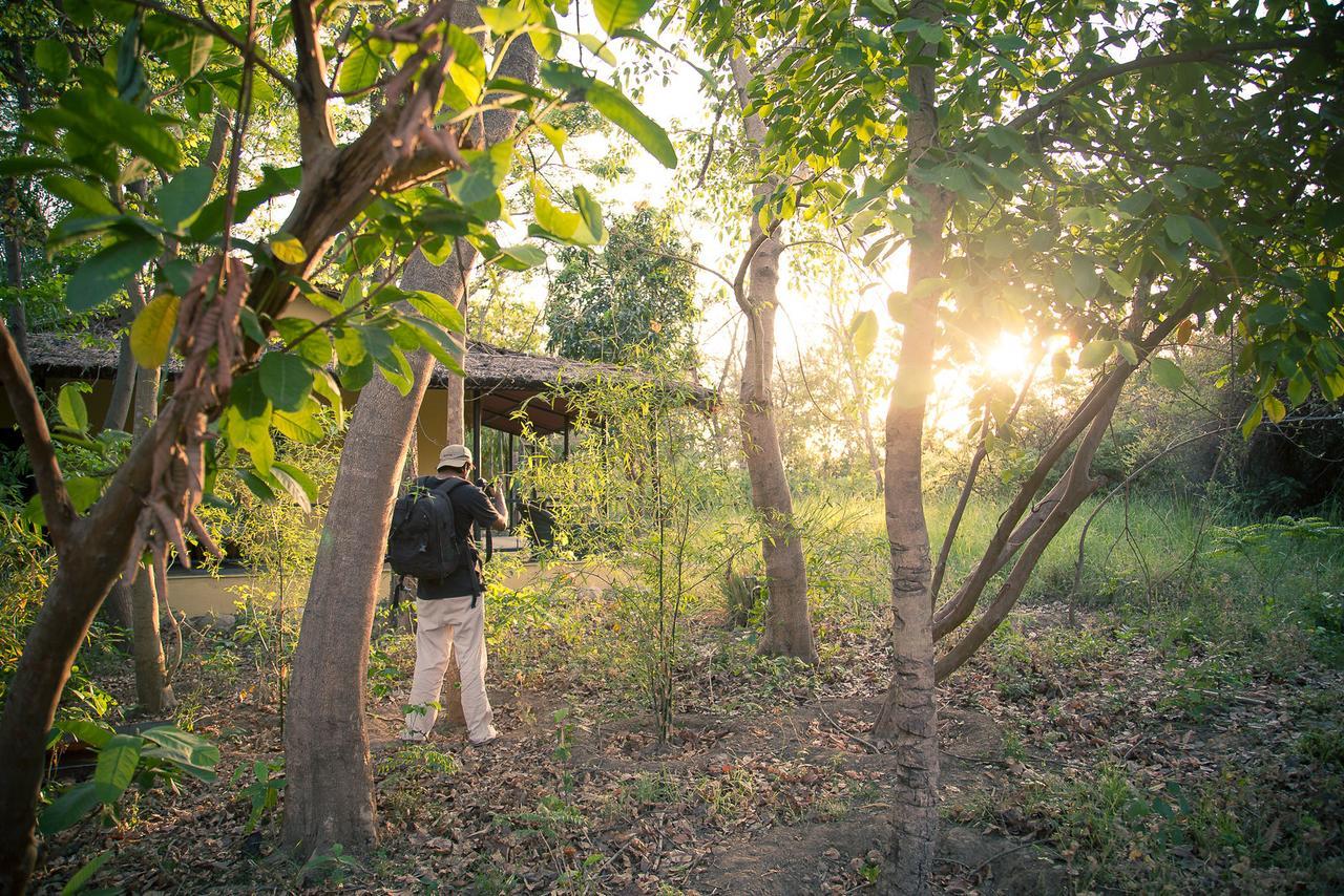 Jim'S Jungle Retreat Hotel Ramnagar  Exterior photo