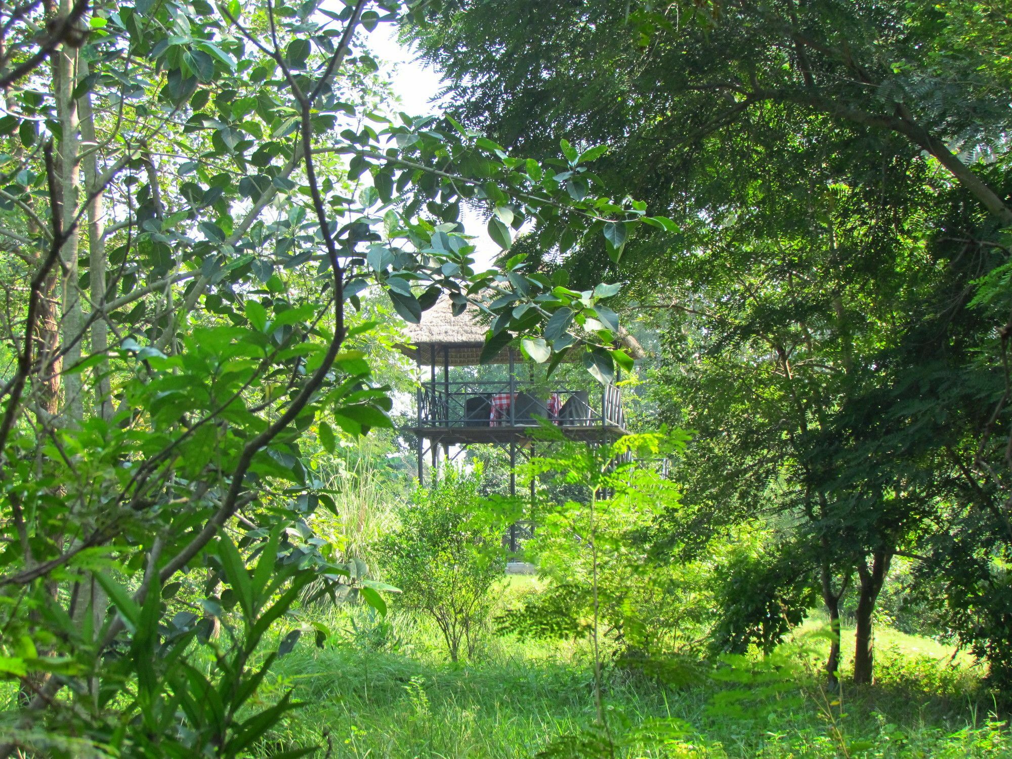 Jim'S Jungle Retreat Hotel Ramnagar  Exterior photo