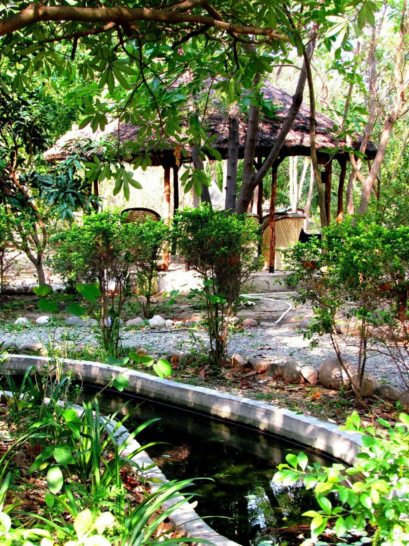 Jim'S Jungle Retreat Hotel Ramnagar  Exterior photo